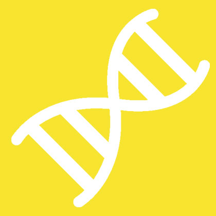 Protein to DNA Translation