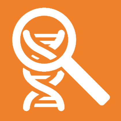 GC Content Finder