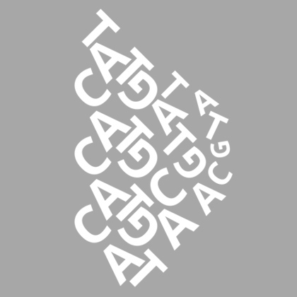 Random Sequences