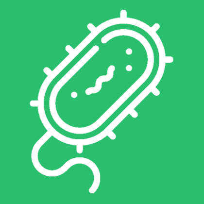 Bacteria Growth Calculator